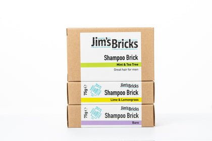 Shampoo Bricks